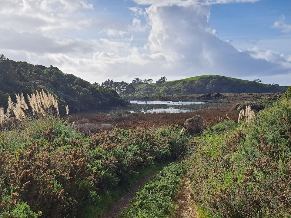 Neuseeland - Whangārei Heads - 