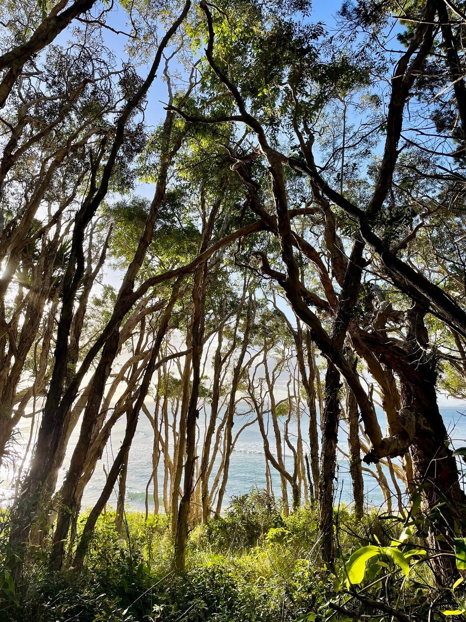 Australien - Noosaville - 