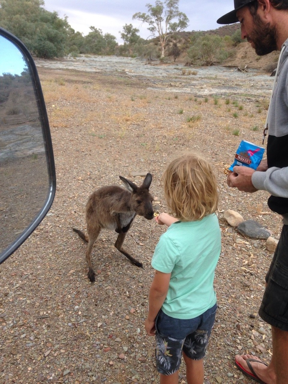 Australia - Flinders Ranges - 