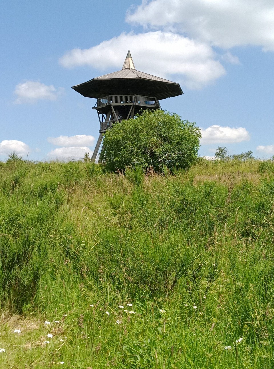 Deutschland - Horn-Bad Meinberg - Ziel erreicht...