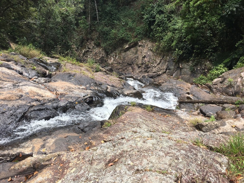  - Ausztrália, Atherton Tablelands - 