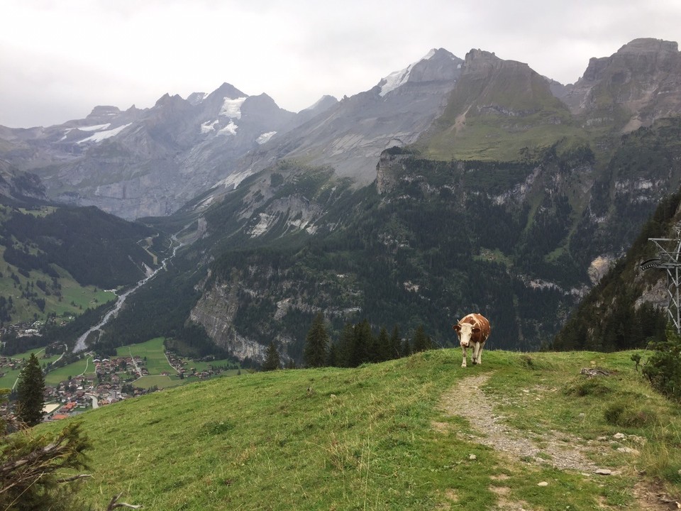 Schweiz - Kandersteg - 