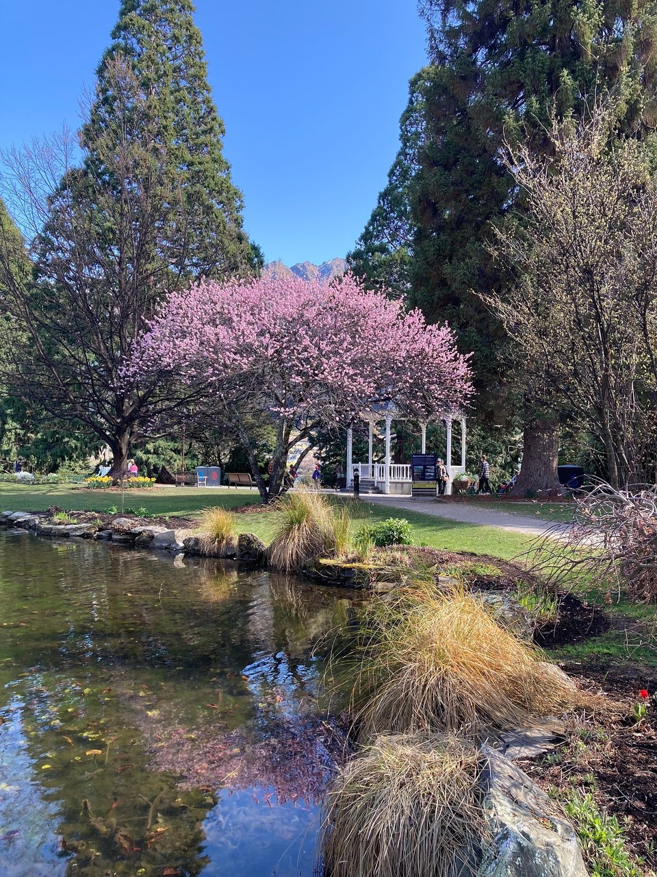 Neuseeland - Queenstown-Wakatipu Ward - Queenstown Gardens