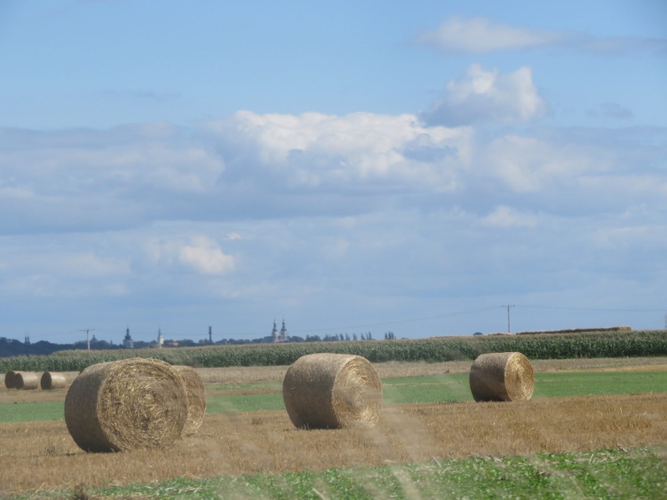 Polen - Moschen - 