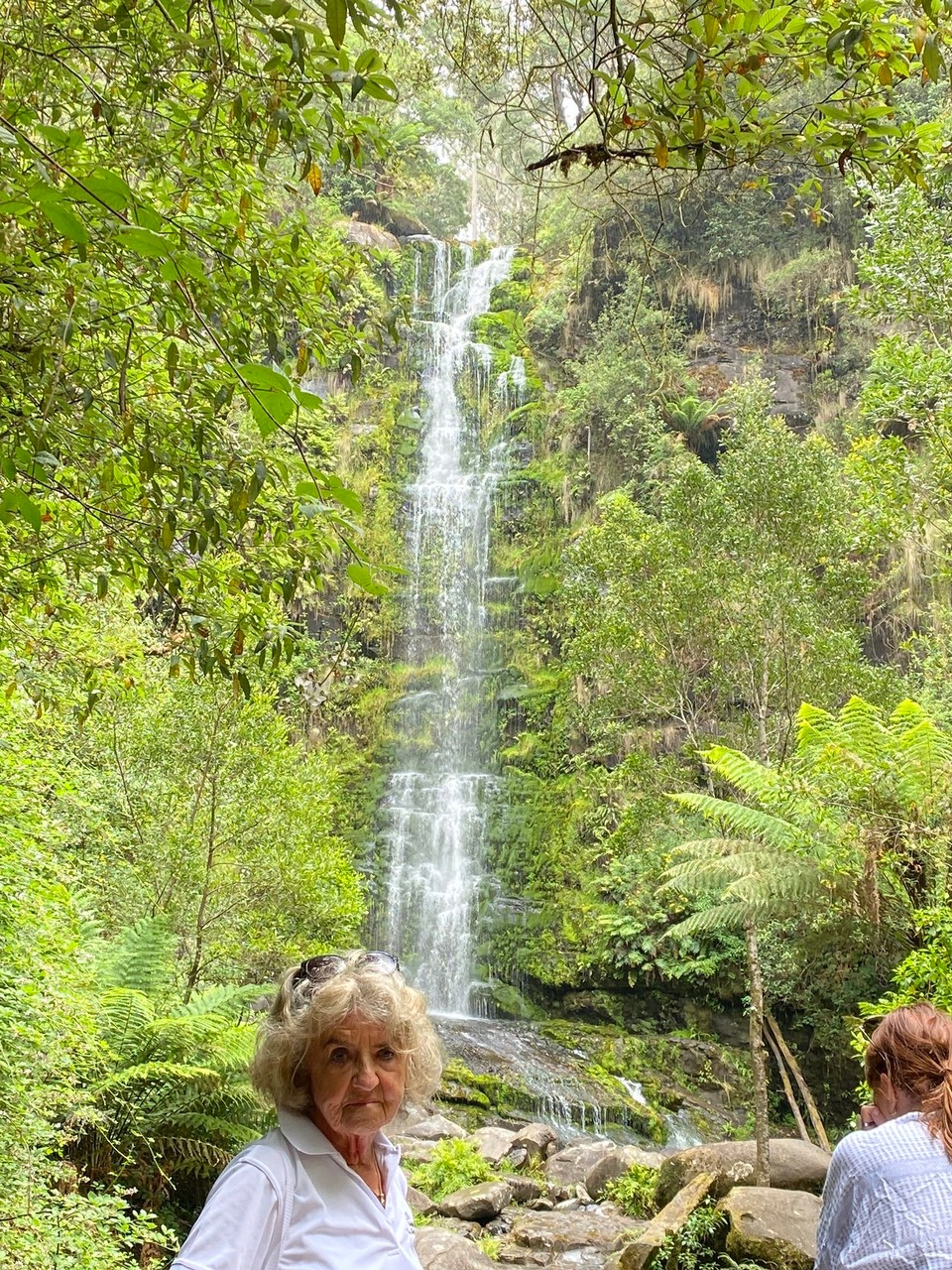 Australien - Lorne - am Ziel angekommen erwartete uns ein eher etwas enttäuschendes Rinnsal eines Wasserfalls, im Vergleich zu dem was man in der Schweiz zu sehen bekommt. 
Die 2-stündige Wanderung durch diesen urwüchsig schönen Wald hat sich trotzdem sehr gelohnt. 
