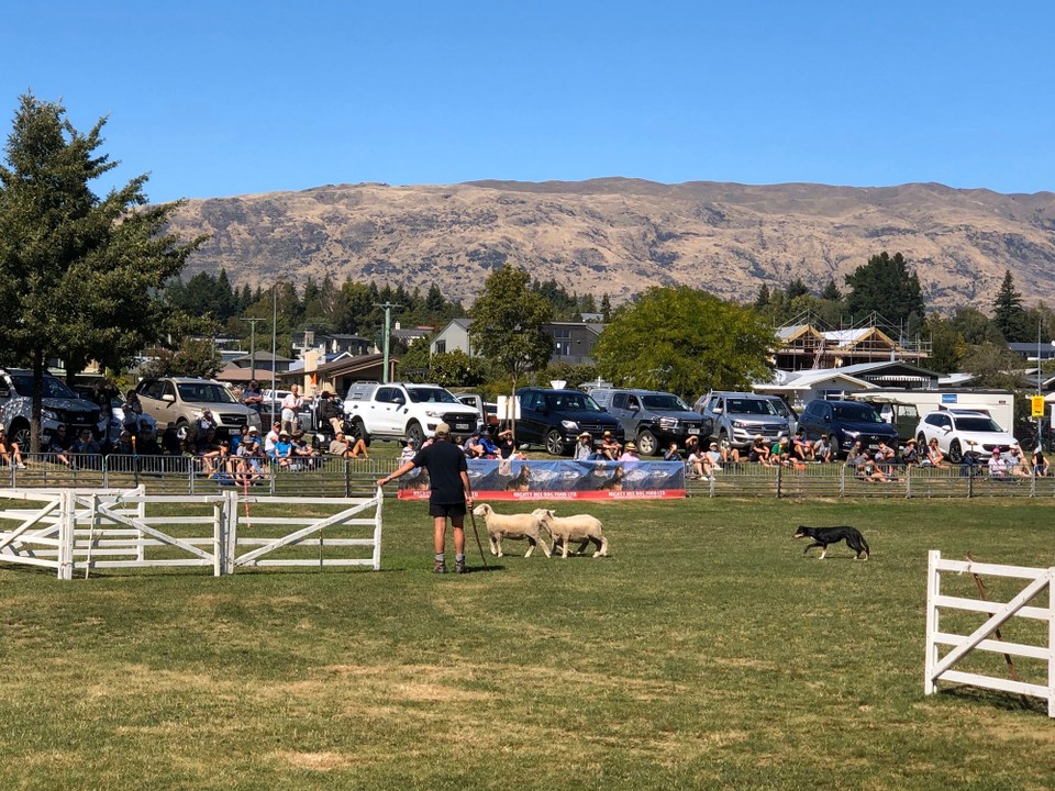 Neuseeland - Wanaka - 