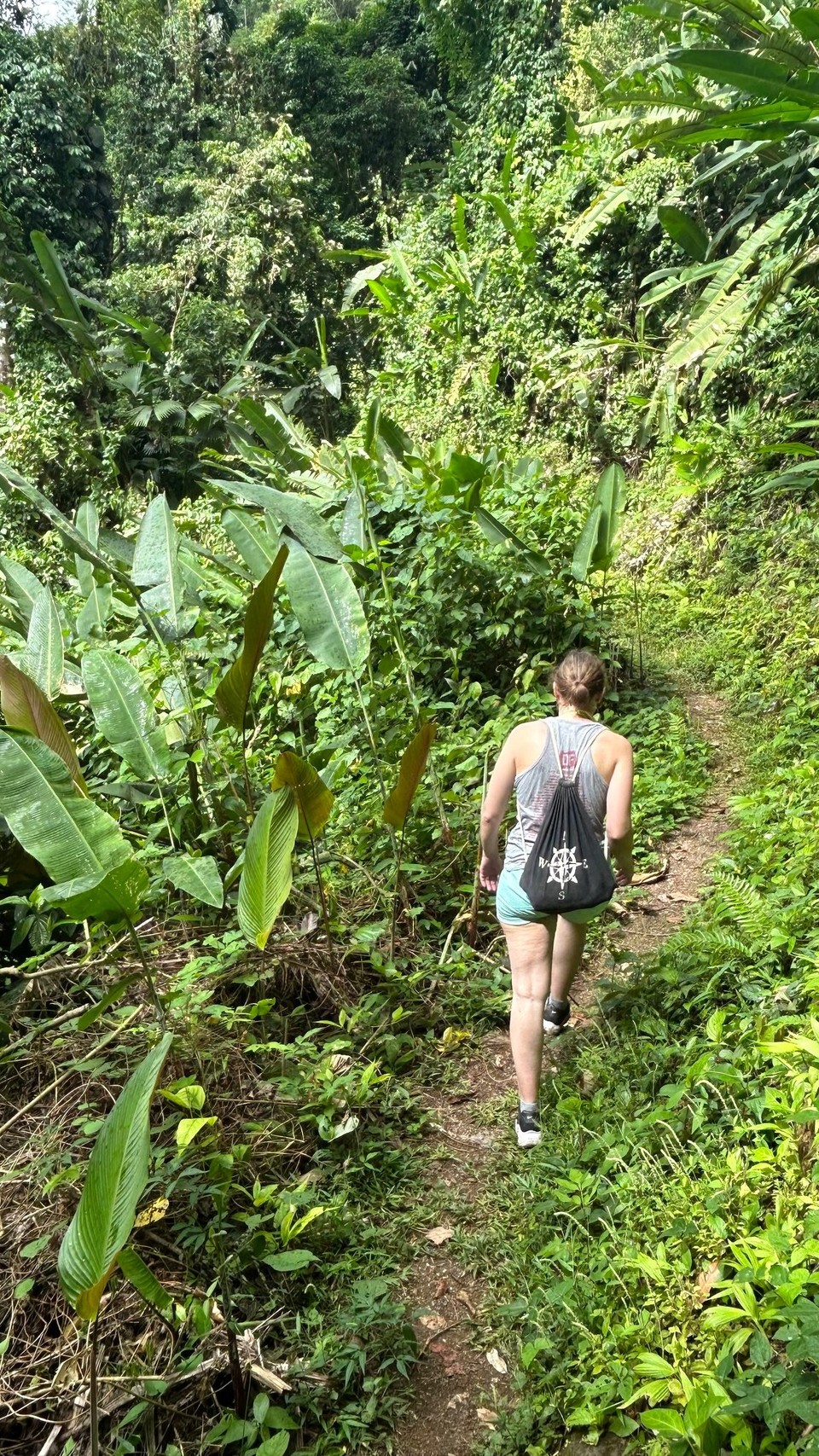 Costa Rica - Nationalpark Corcovado - 
