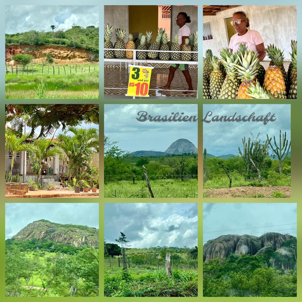 Brasilien - Salvador - Fahrt durch Bahia