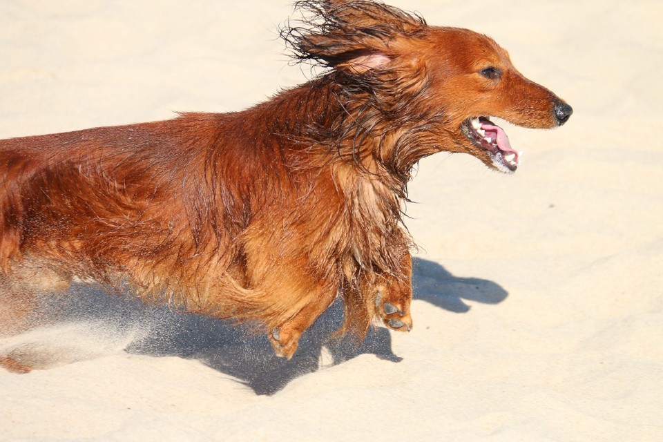 Deutschland - Grömitz - 