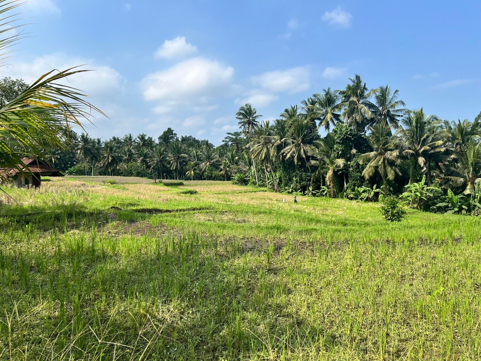 Indonesien - Gianyar - 