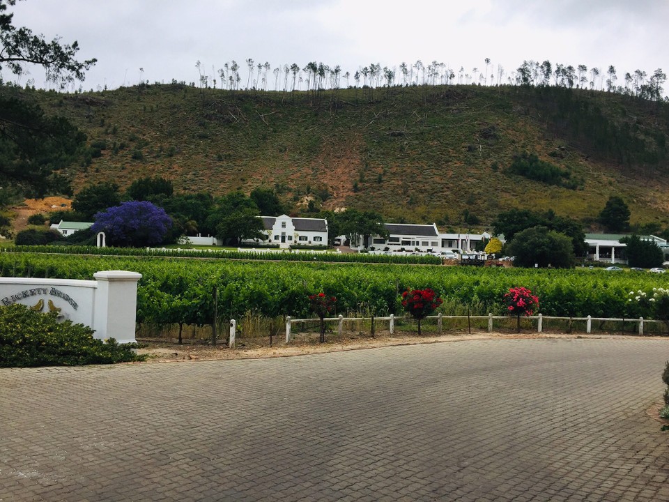 Südafrika - Stellenbosch - 