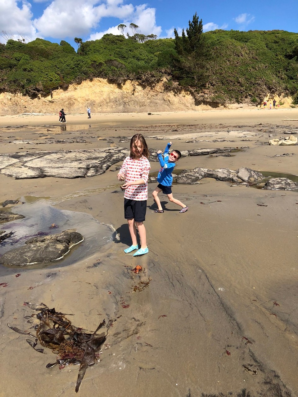 Neuseeland - Moeraki - Heute waren wir bei den Boulder rocks