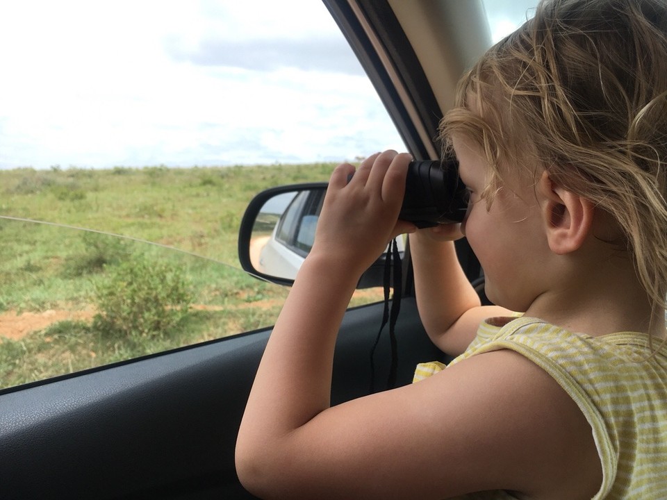 Südafrika -  - 