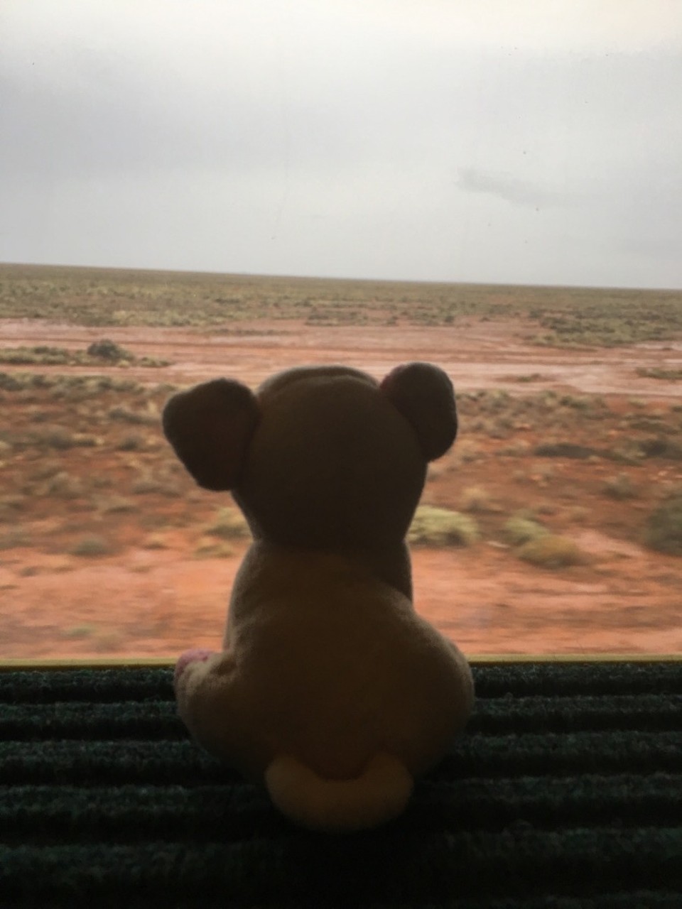 Australien - Rawlinna - mein Fernseher, immer gleiches Bild