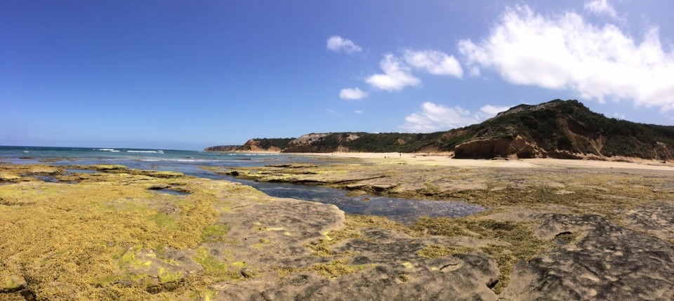 Australia -  - The beach had some spectacular flat rock formations where the water was so warm!