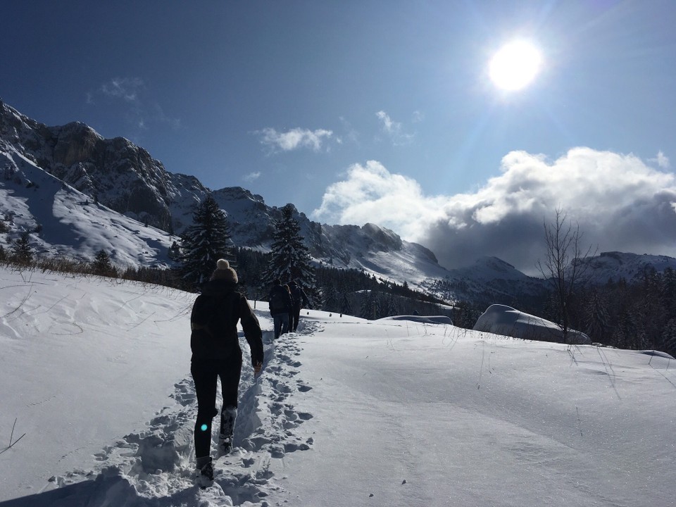 Frankreich - Villard de Lans - 