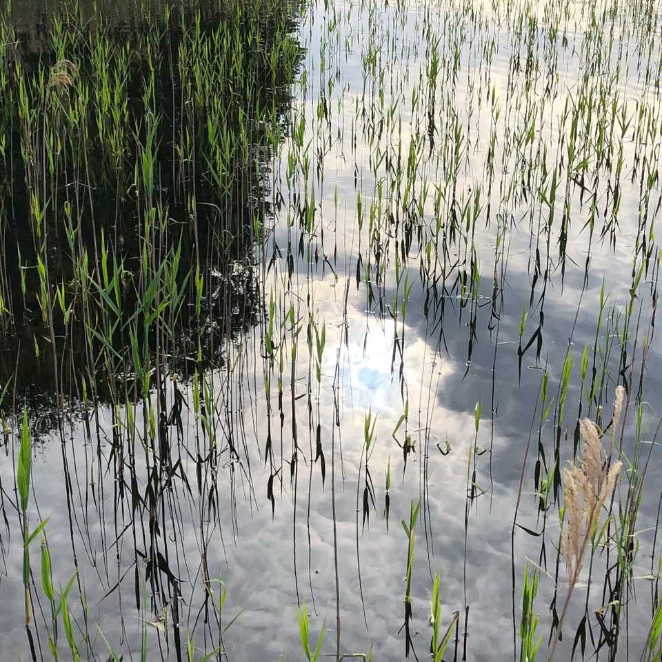 Deutschland - Bad Saarow - 