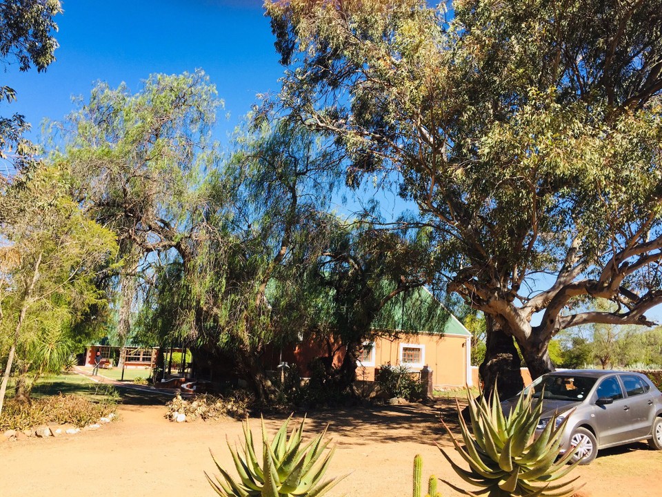 Südafrika - Oudtshoorn - 