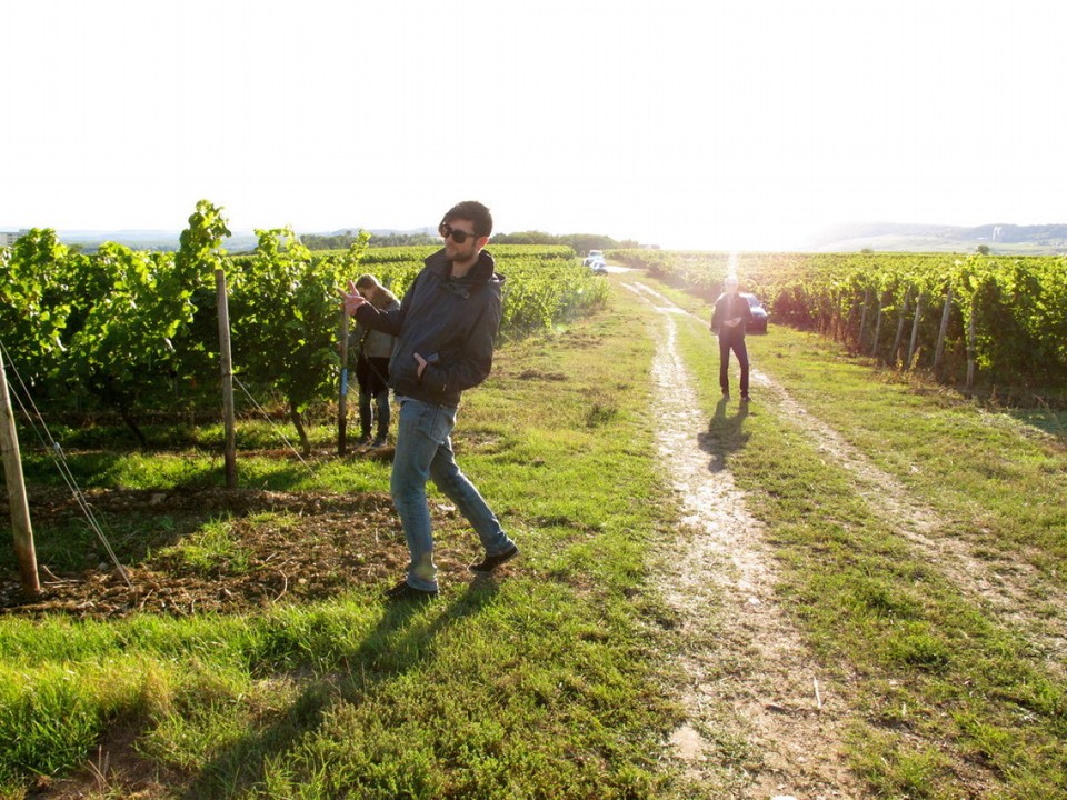 Deutschland - Geisenheim - 