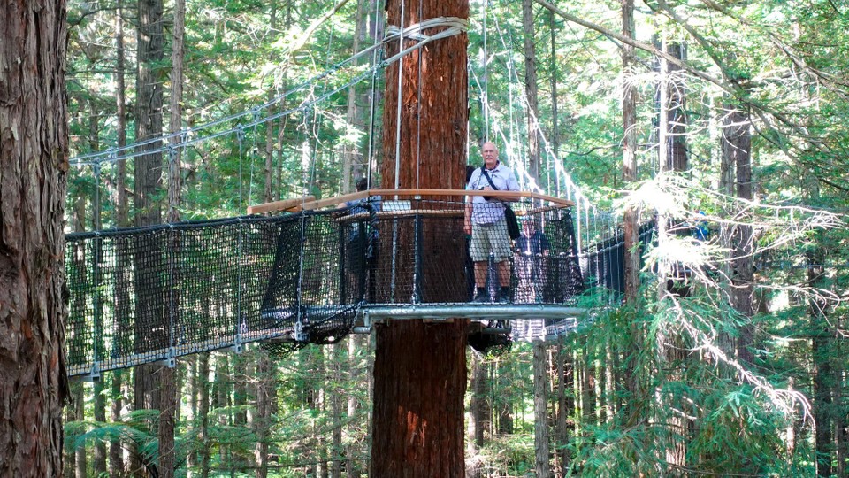 Neuseeland - Rotorua - Höchste Stelle 20 Meter