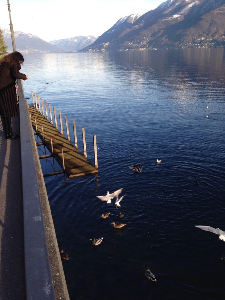 Schweiz - Brissago - 