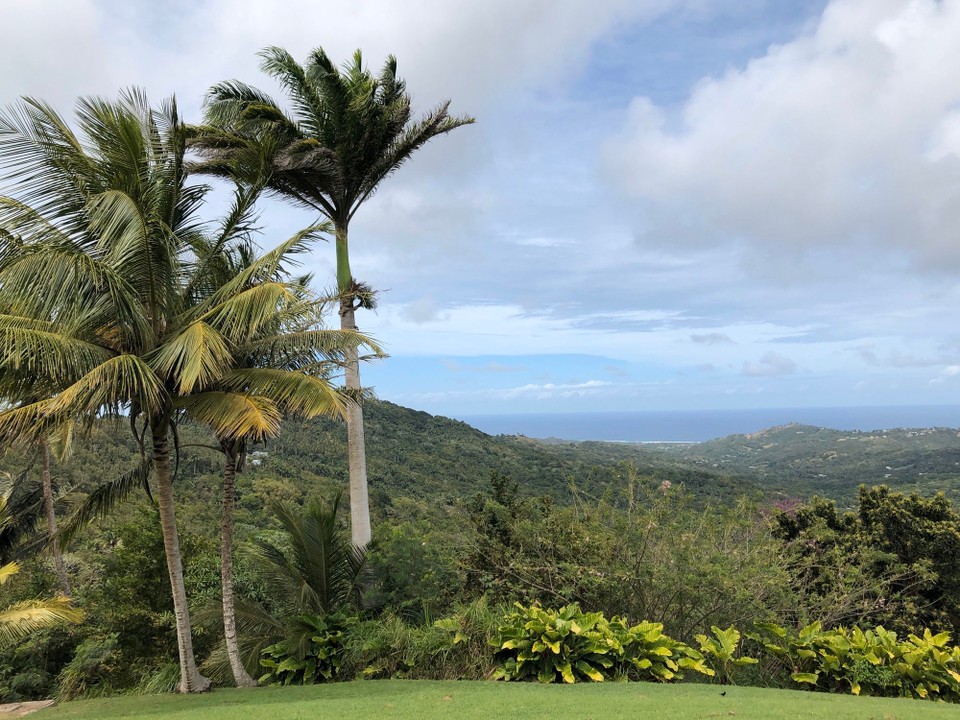 Barbados - Bridgetown - 