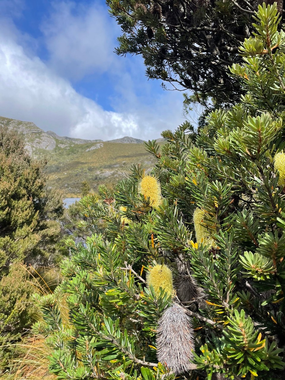Australien - Launceston - 