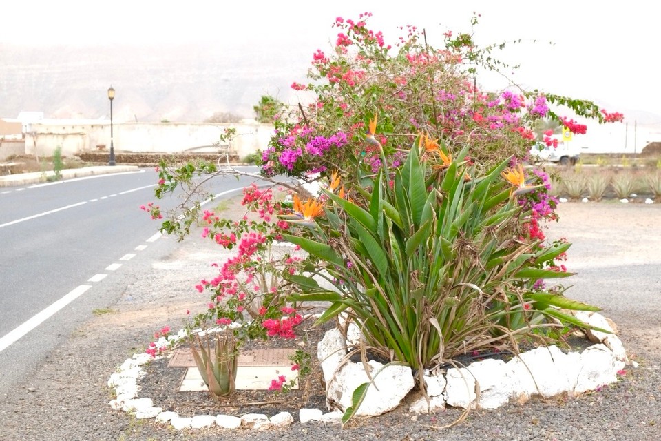 Spanien - La Oliva - 