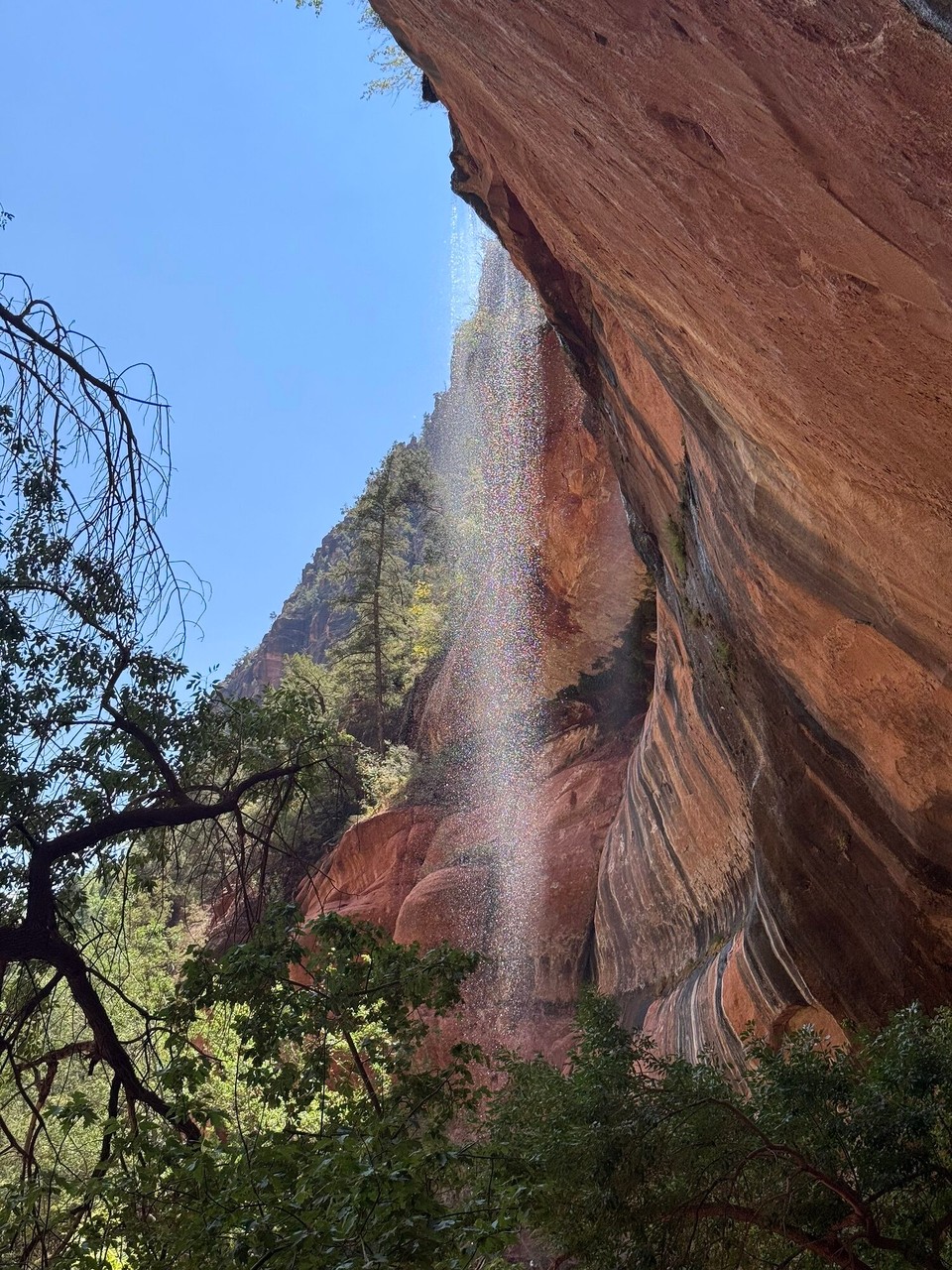 Vereinigte Staaten - Springdale - Mier sind den nachem Picknicke no uf de 2. Trail, deh Kayenta Trail. Deh esch wunderschön gsi. D‘Ussicht uf die rote Felse und d‘Wasserfäll esch faszinierend und mega schöön.☺️