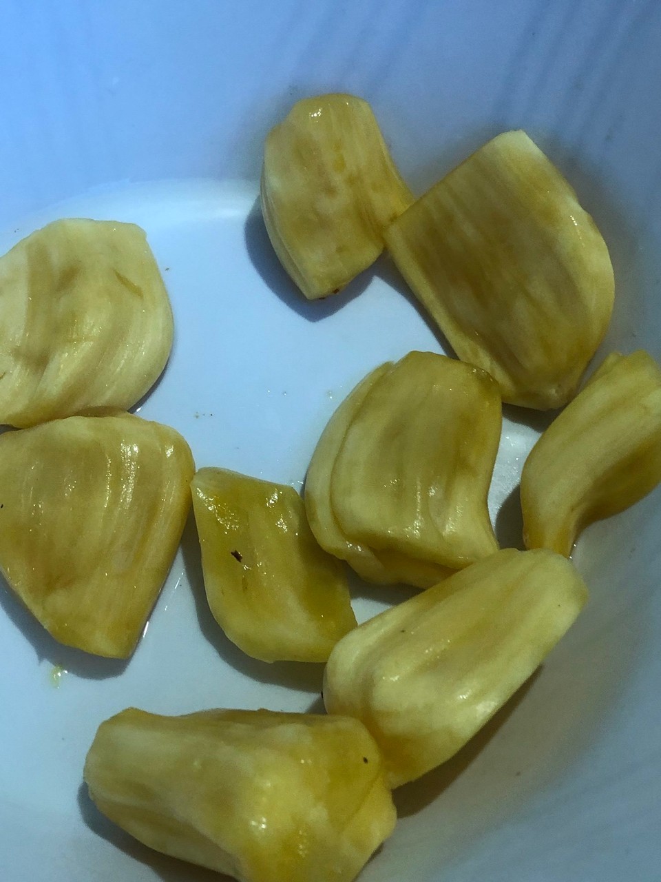 Brasilien - Salvador - 