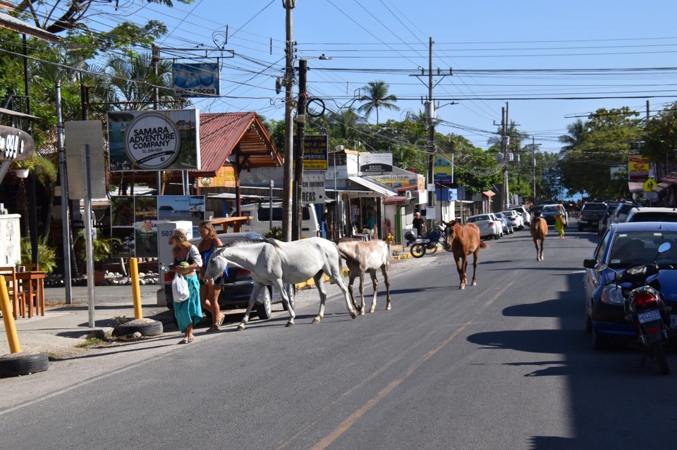 Costa Rica - Nicoya - Ankunft in Samara, wo sind wir hier gelandet?