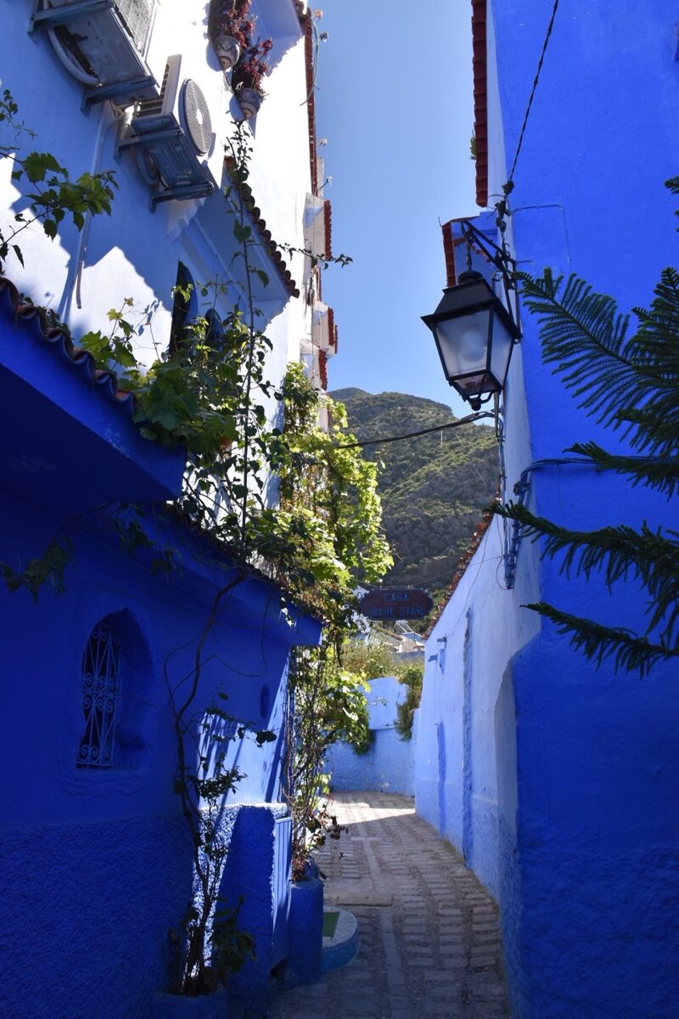Marokko - Chefchaouen - 