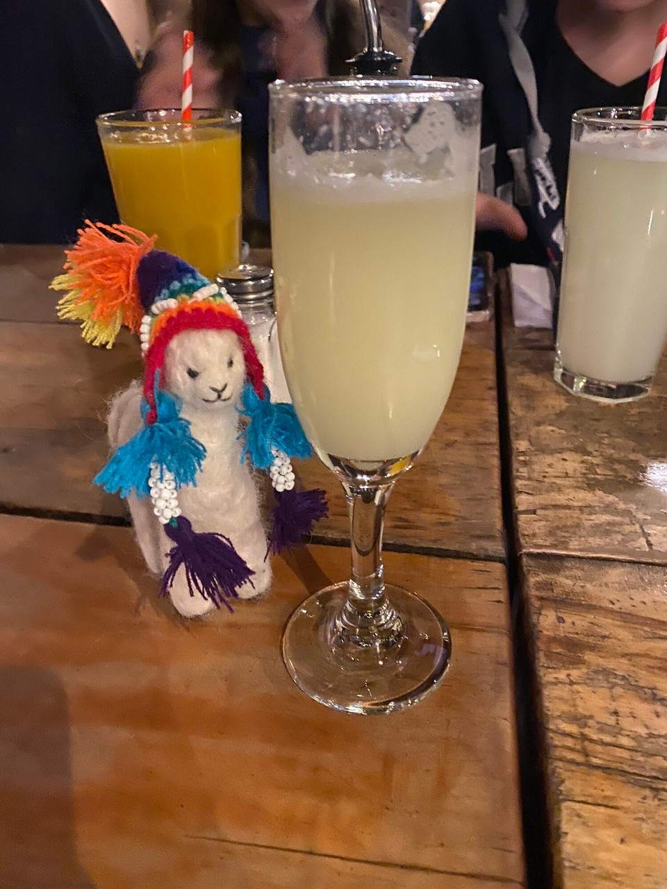 Chile - San Pedro de Atacama - Wenn es Pisco gibt, ist Lana, nicht weit.