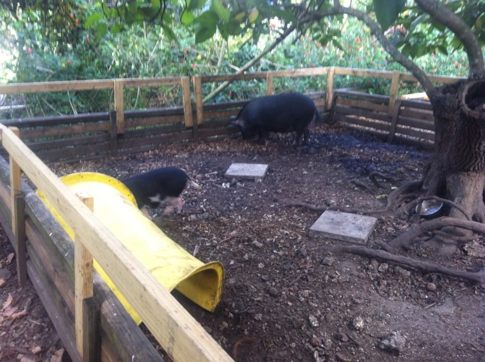 Egyesült Államok - Homestead - 