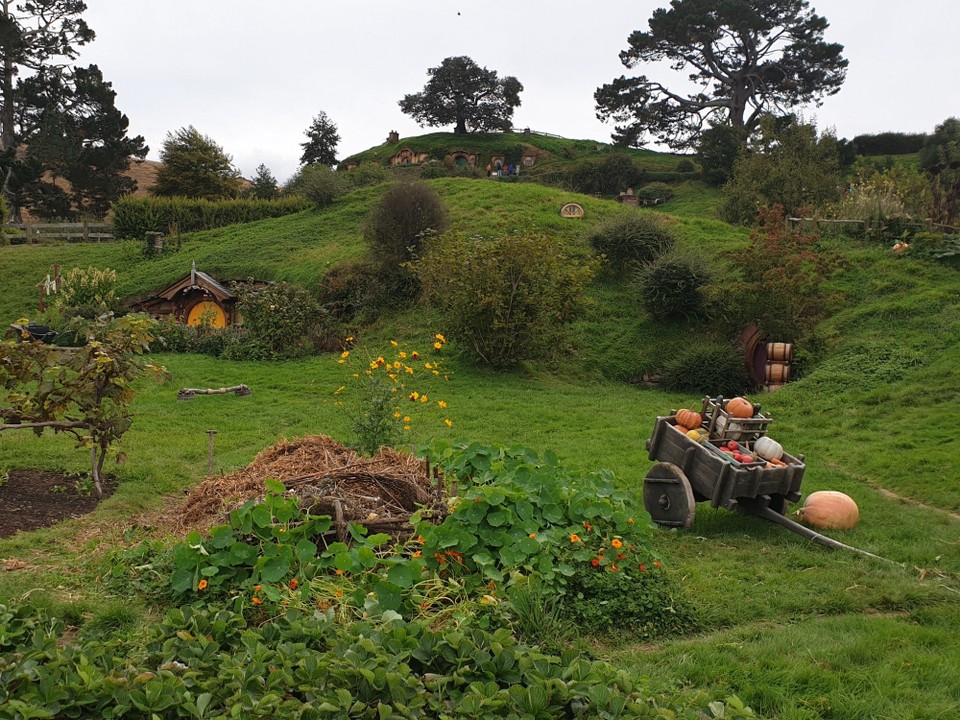 Neuseeland - Matamata - 