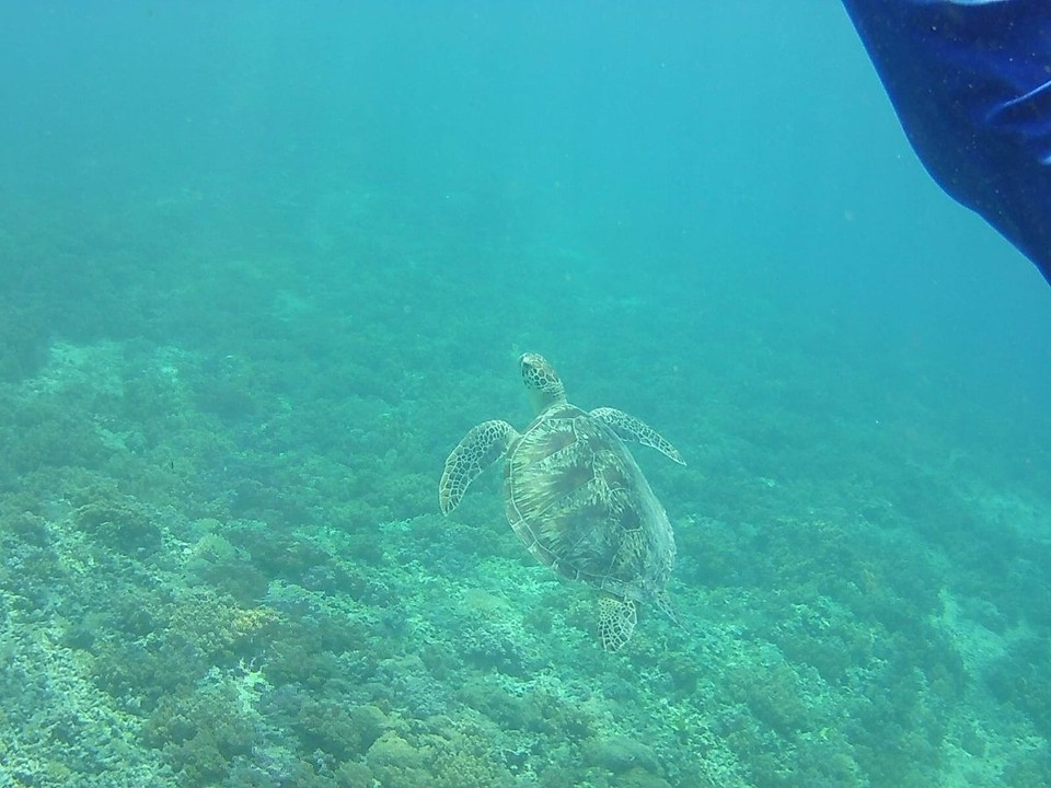 Indonesien - Lombok Utara - 