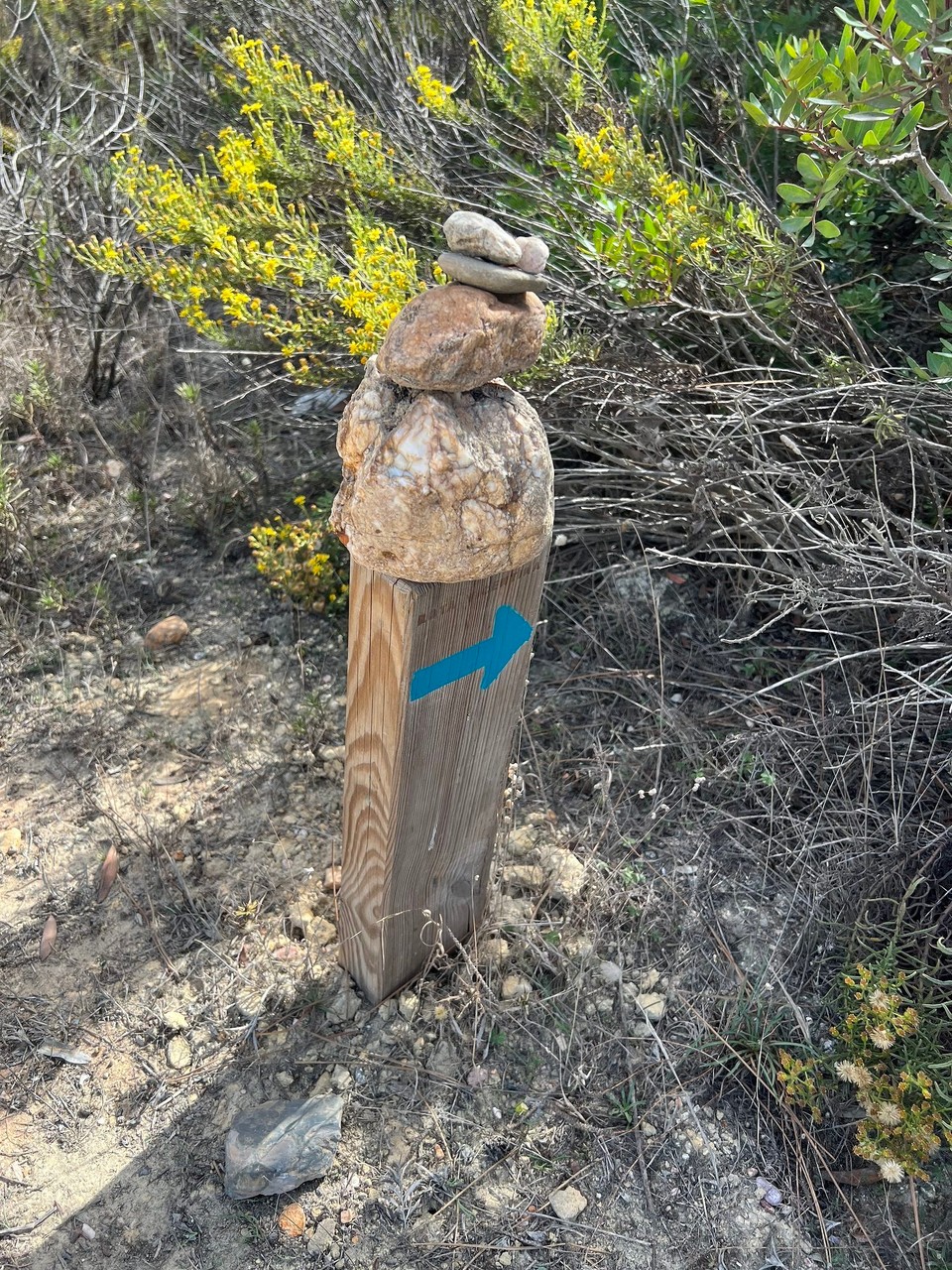 Portugal - São Teotónio - 