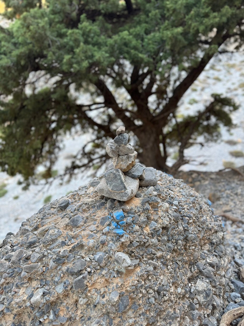 Griechenland - Chora Sfakion - 