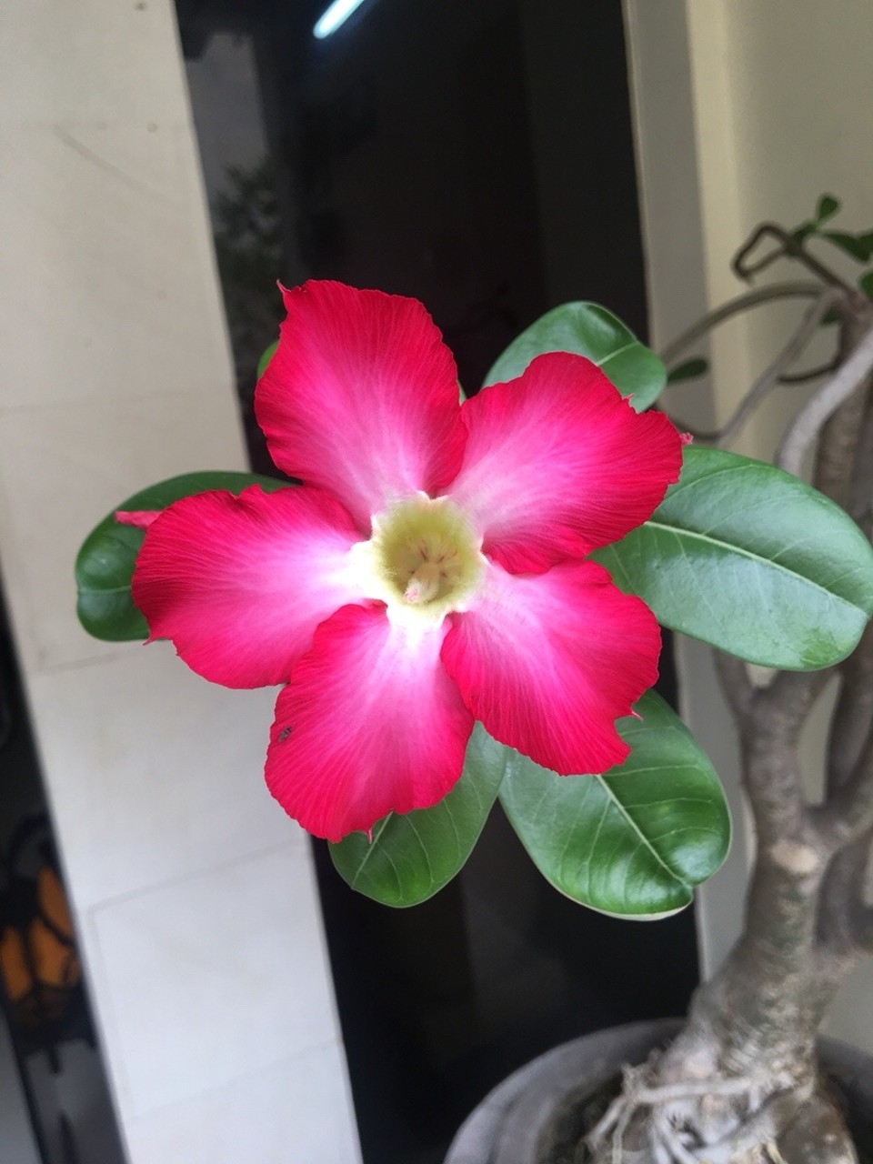 Indonesien - Lombok Utara - 