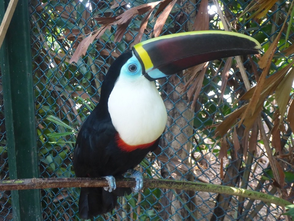 Kolumbien - Cartagena - 