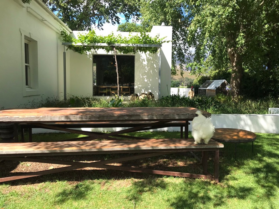 Südafrika - Stellenbosch - 
