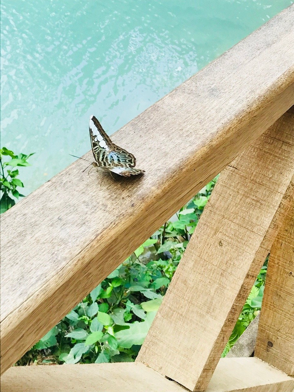 Laos - Luang Prabang - 