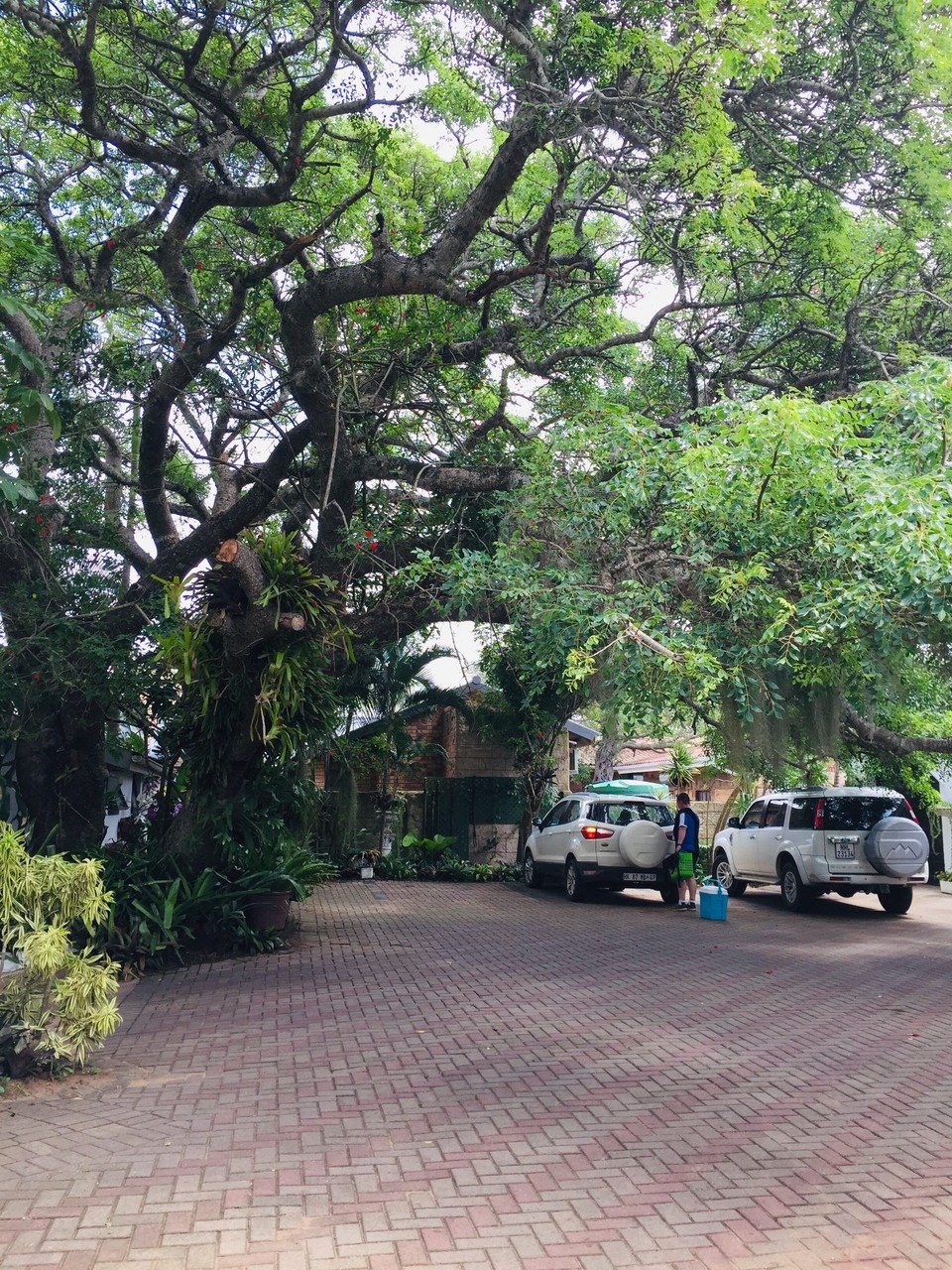 Südafrika - St Lucia - 