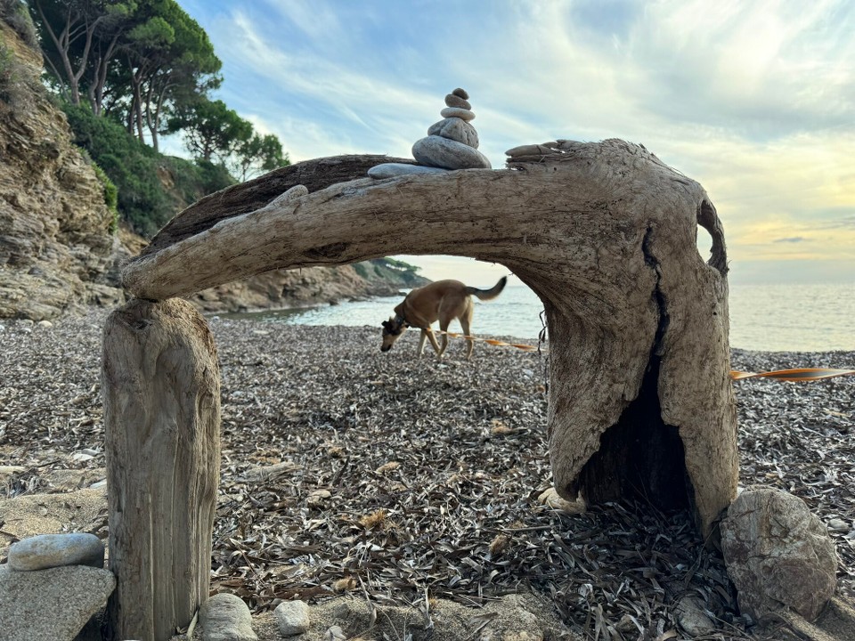 Italien - Capoliveri - Beachart mit Hund