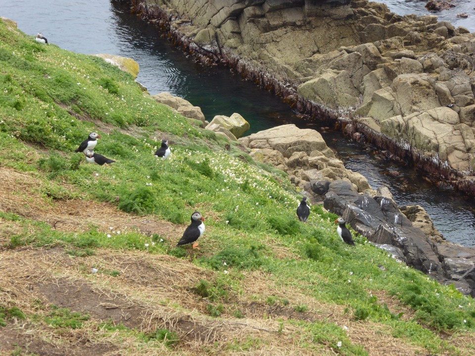 Ireland - Kilmore Quay - 