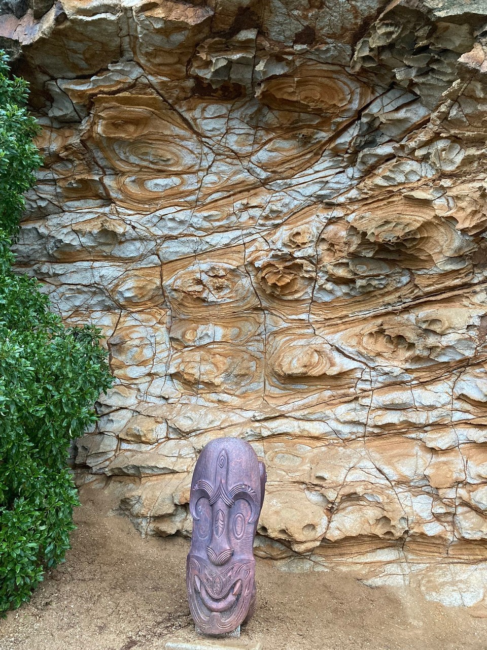 Neuseeland - Banks Peninsula Ward - 