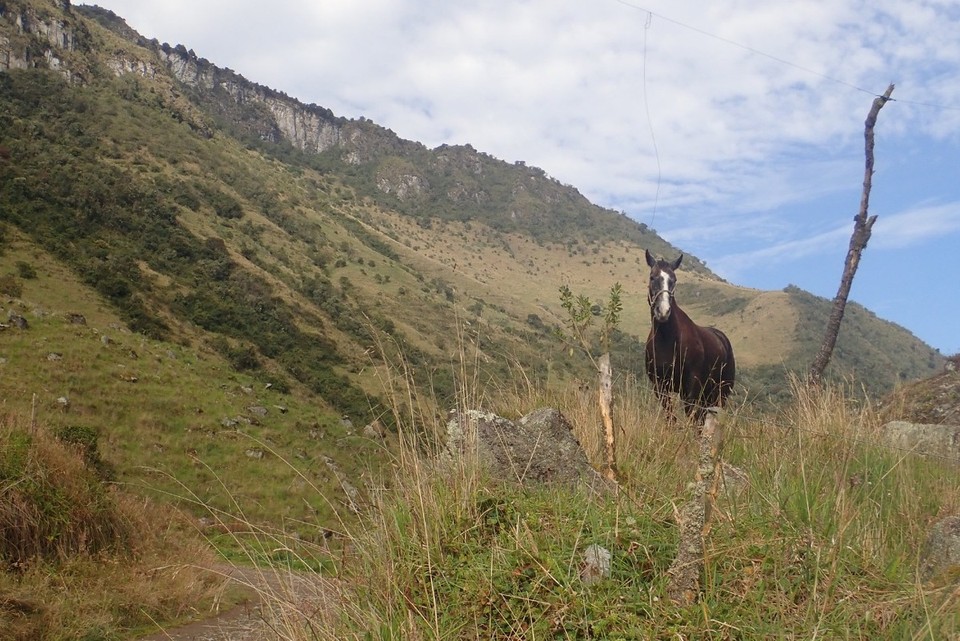 Kolumbien - Manizales - Naja, Zeit für coole Fotos. Mit einem PS aufwärts wäre bestimmt auch nicht schlecht🐎