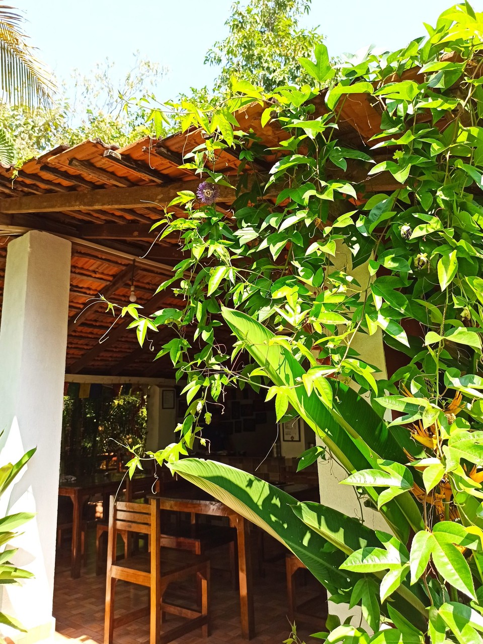 Indien - Agonda - 