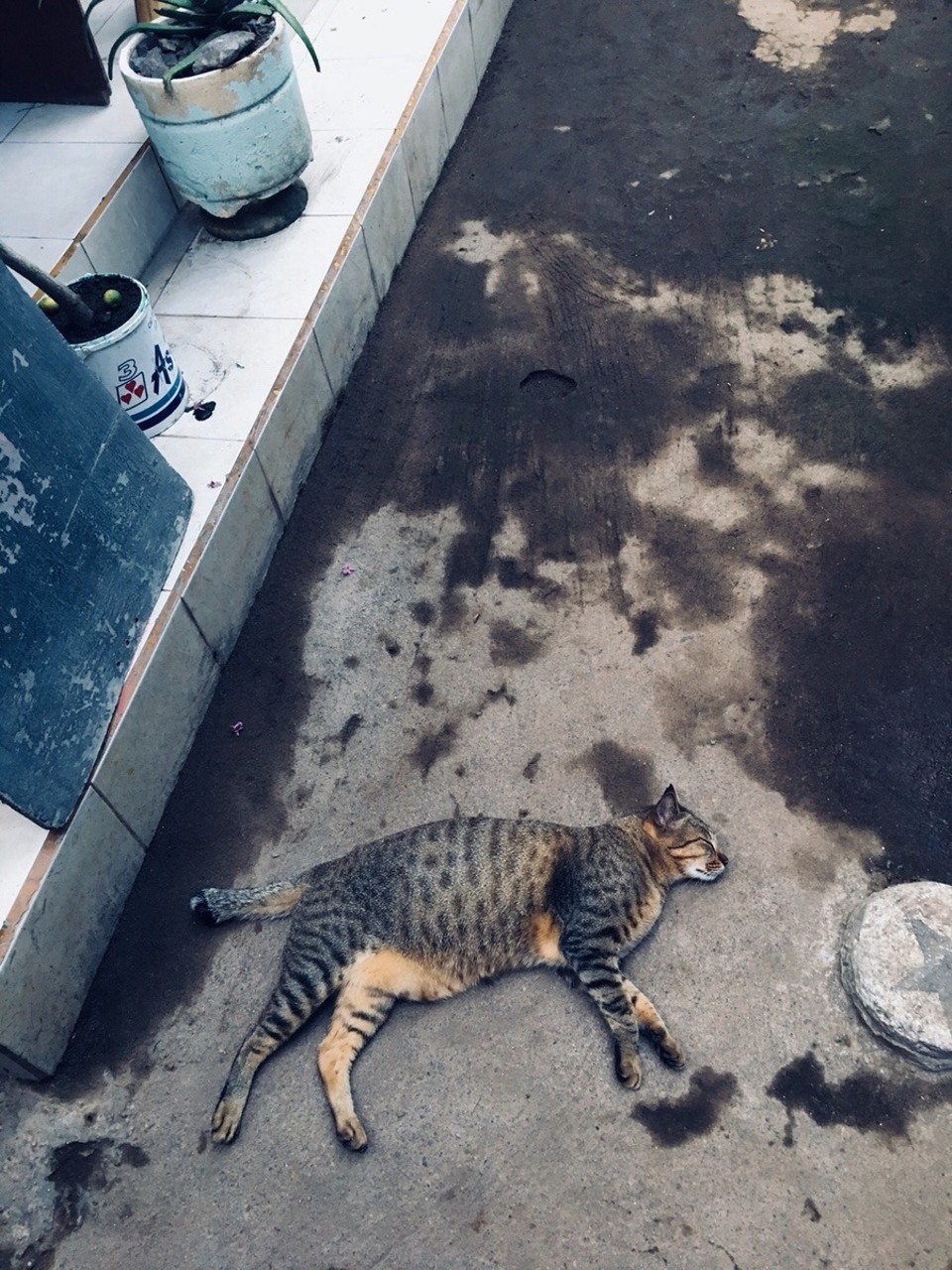 Indonesien - Lombok Utara - 