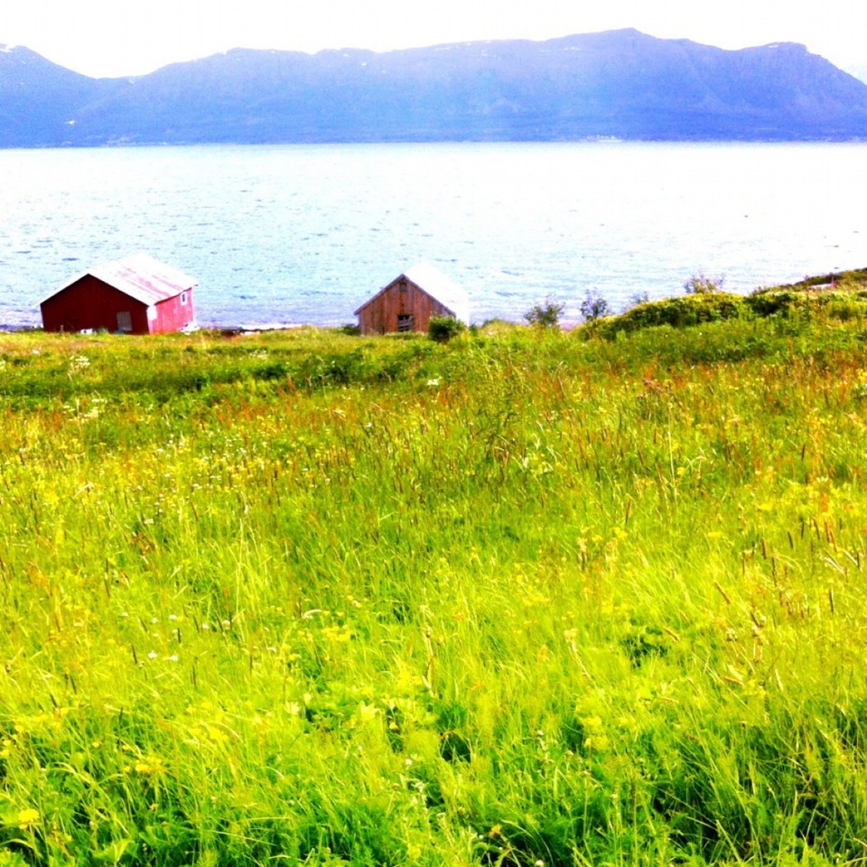 Norway - Skjervøy - Willkommen auf Skjervoy